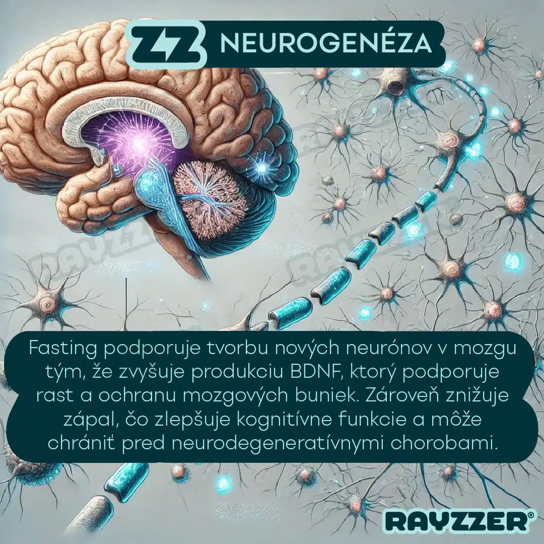 Neurogenéza je proces, pri ktorom sa v mozgu tvoria nové neuróny, teda nervové bunky. Tento proces sa vyskytuje najmä v dvoch oblastiach mozgu: v hipokampe, ktorý je zodpovedný za pamäť a učenie, a v čuchovej cibuli, ktorá súvisí s vôňou. Neurogenéza je dôležitá pre mozgovú plasticitu, čo znamená, že mozog sa môže meniť a prispôsobovať v reakcii na nové skúsenosti a učenie. Tento proces je ovplyvnený faktormi ako fyzická aktivita, strava, spánok a stres.